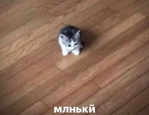 Стикер Unuuuuus - 1