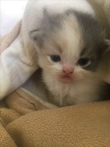 Стикер Unuuuuus - 1