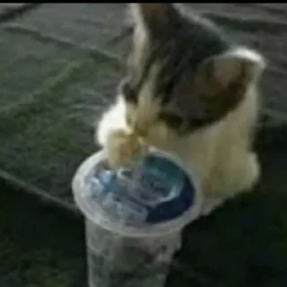 Стикер anys - 4