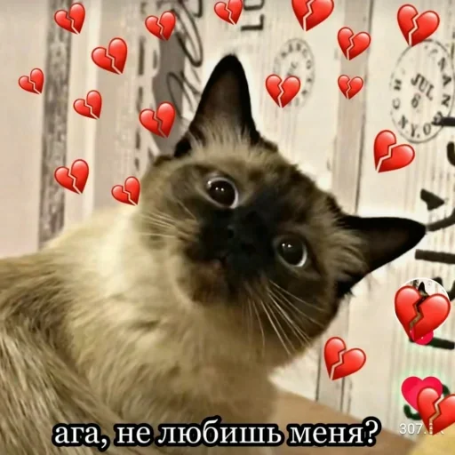 Sticker Uoilb_kd803_by_fStikBot - 1