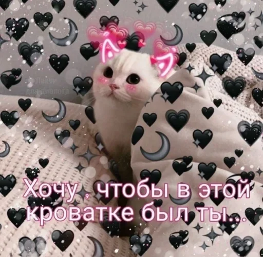 Стикер Roli by @fStikBot - 6