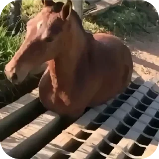 Стикер упал - вставай, встал - упай - 2