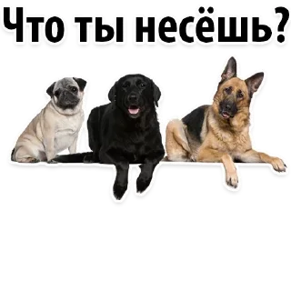 Sticker Упыри - 4