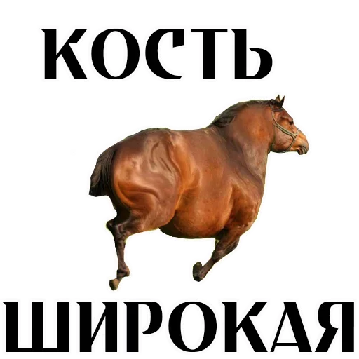 Стикер Upblri78 - 1