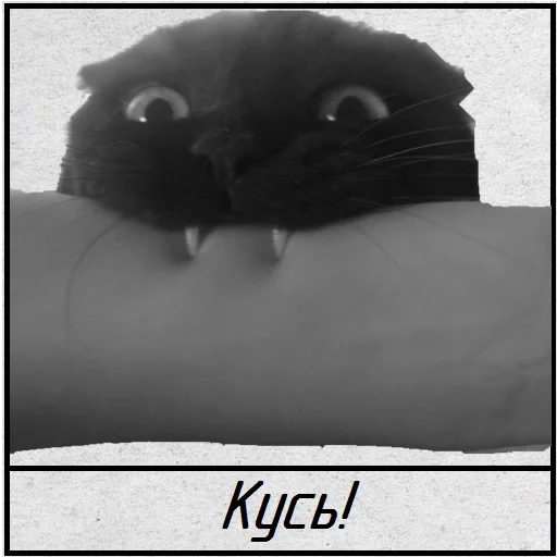 Стикер Uporotni - 1