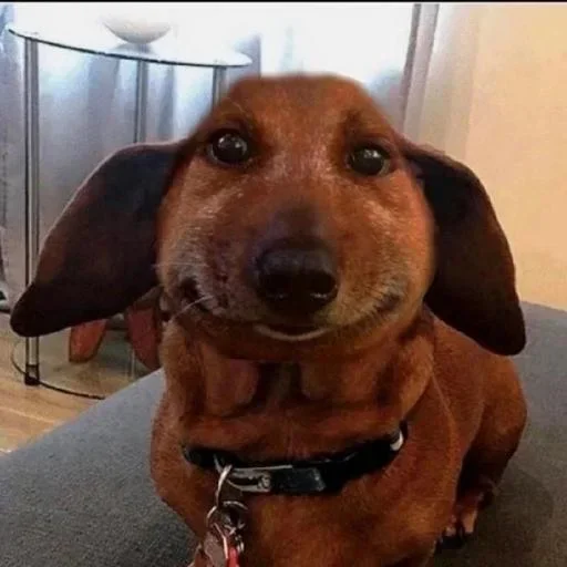 💕Стики тут: @sekstick - 