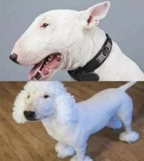 Sticker 💕Стики тут: @sekstick - 7