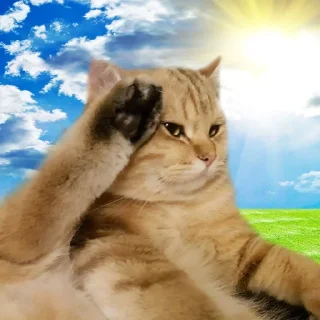 Стикер Добрячки !!! (t.me/m4a34) - 1