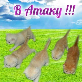 Стикер Добрячки !!! (t.me/m4a34) - 7