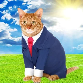 Стикер Добрячки !!! (t.me/m4a34) - 6