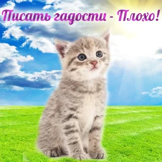 Стикер Добрячки !!! (t.me/m4a34) - 4