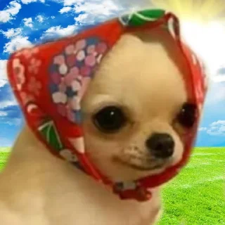 Стикер Добрячки !!! (t.me/m4a34) - 10