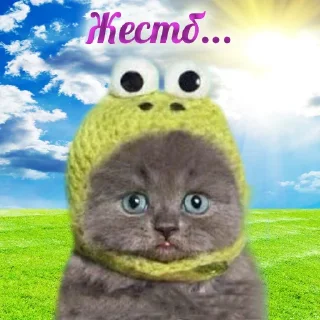 Стикер Добрячки !!! (t.me/m4a34) - 8