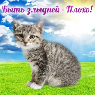 Стикер Добрячки !!! (t.me/m4a34) - 2