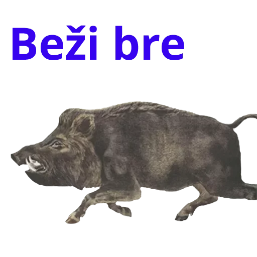 Sticker Ursa_metnulsa - 1