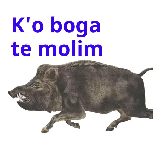 Sticker Ursa_metnulsa - 1