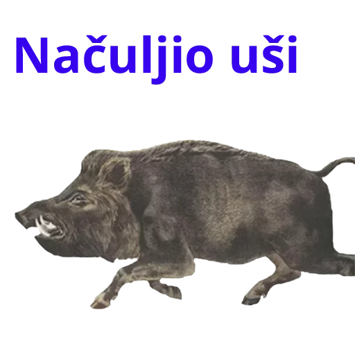 Стикер Ursa_metnulsa - 1