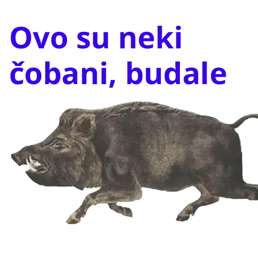 Sticker Ursa_metnulsa - 1