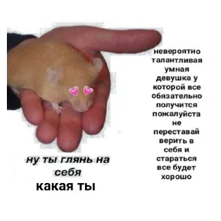 Стикер you - 5