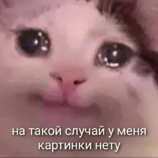 Sticker Больше стикеров: @sticerru - 6