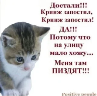 Sticker Мемный стикерпак - 5