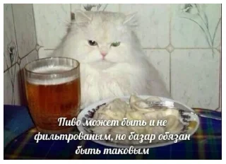 Sticker Мемный стикерпак - 11