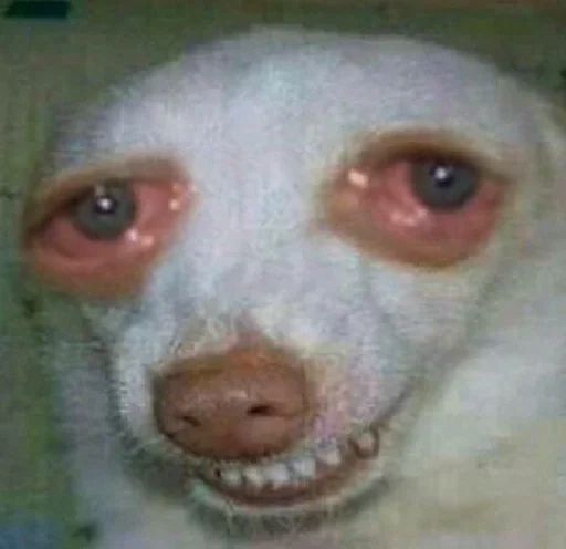 Sticker Utajtfy_by_achestickbot - 1