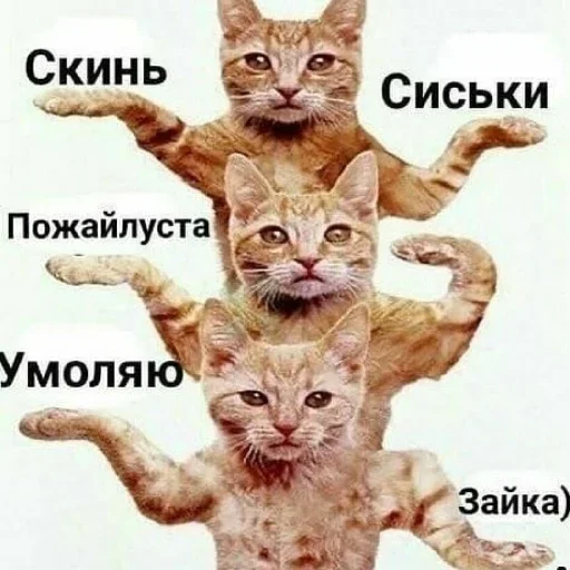 Sticker Utajtfy_by_achestickbot - 1