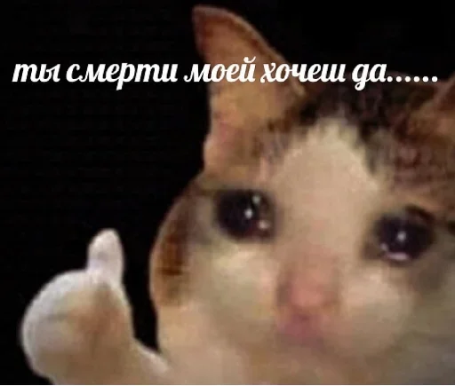 Стикер Utajtfy_by_achestickbot - 1