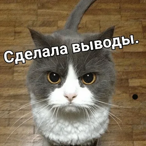 Стикер UtjJViq_by_achestickbot - 1