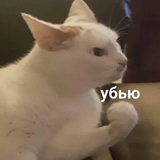 Sticker UtjJViq_by_achestickbot - 1