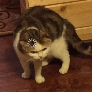 Стикер Больше стиков тут: @stikery4 - 8