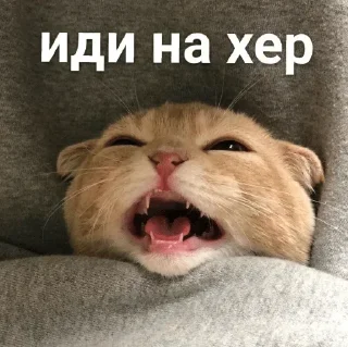 Стикер Больше стиков тут: @stikery4 - 6