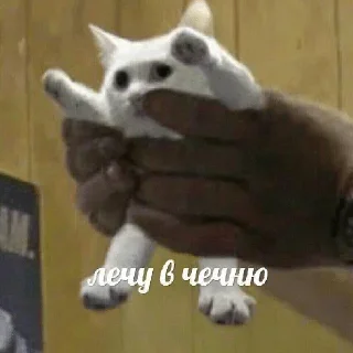 Стикер Больше стиков тут: @stikery4 - 11