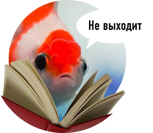 animal fish goldfish