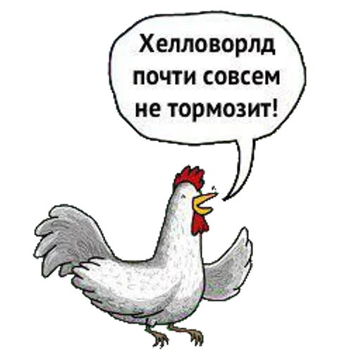 text chicken gallinaceous bird