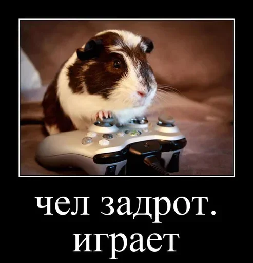 Sticker UuzIDcsZigPQSSILBC_by_stickers_stealer_bot - 1