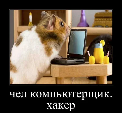 Sticker UuzIDcsZigPQSSILBC_by_stickers_stealer_bot - 1