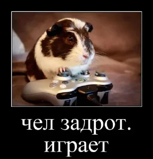 Sticker Больше стикеров 👉🏻 @stickertg4 - 5