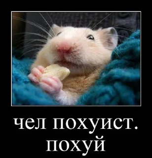 Sticker Больше стикеров 👉🏻 @stickertg4 - 2