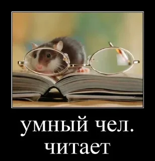 Sticker Больше стикеров 👉🏻 @stickertg4 - 6