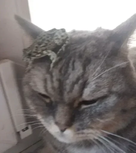 Sticker UvVYVkcKe_by_stickers_stealer_bot - 1