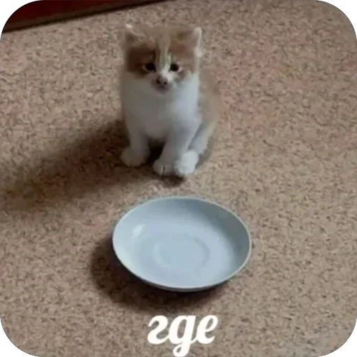 Стикер UwbyWiu_by_achestickbot - 1