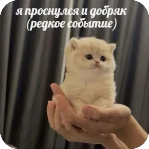 Sticker UwbyWiu_by_achestickbot - 1