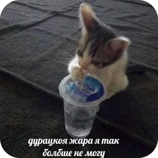 Стикер UwbyWiu_by_achestickbot - 1