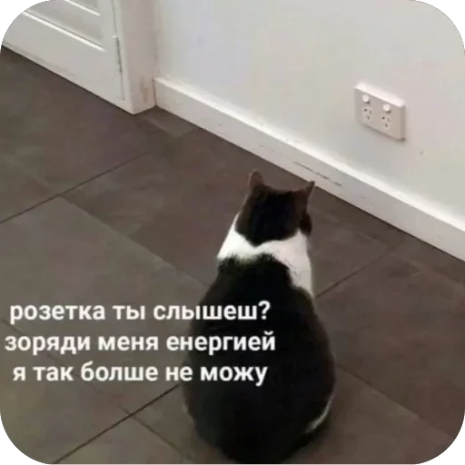 Стикер UwbyWiu_by_achestickbot - 1