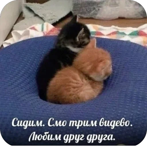 Sticker UwbyWiu_by_achestickbot - 1