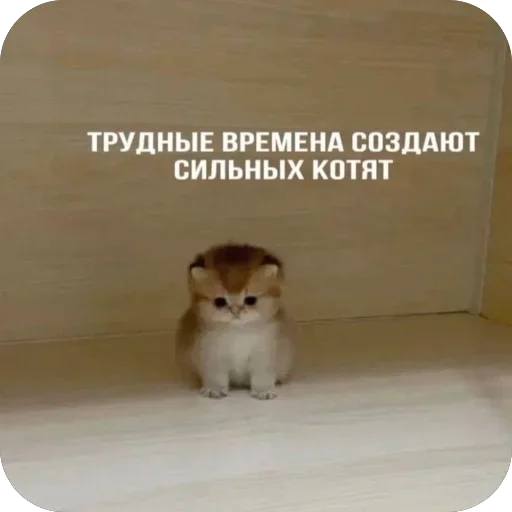 Стикер UwbyWiu_by_achestickbot - 1