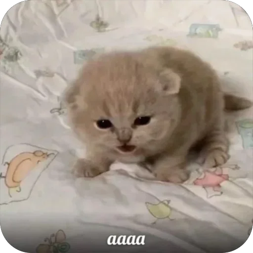 Стикер UwbyWiu_by_achestickbot - 1