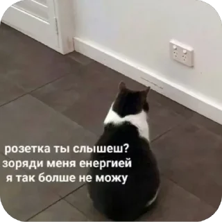 Стикер Больше стиков тут: @stikery4 - 4